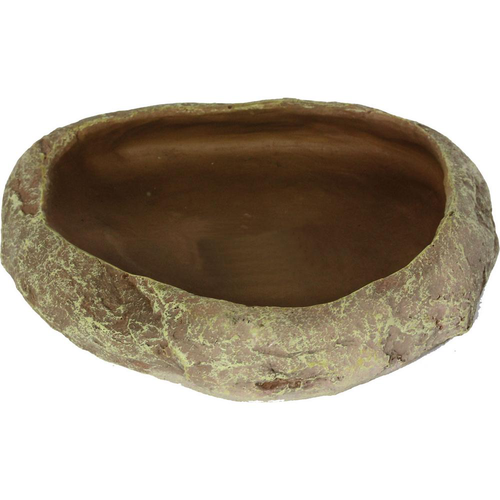 Visuel 1 du produit Bassin ou mangeoire pour terrarium coloris gris Reptile Planet Repti Dish - Taille XL 18 x 4 x 15 cm