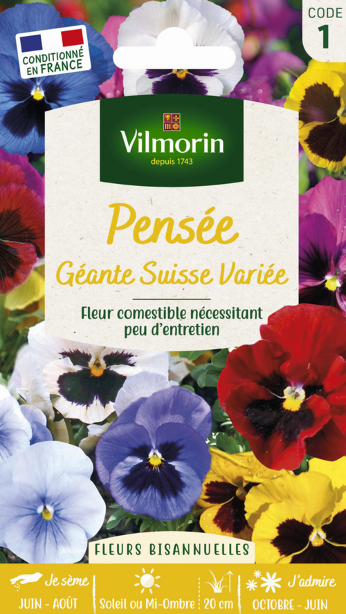 Visuel 1 du produit Pensée Géante Suisse Variée Vilmorin - graines à semer