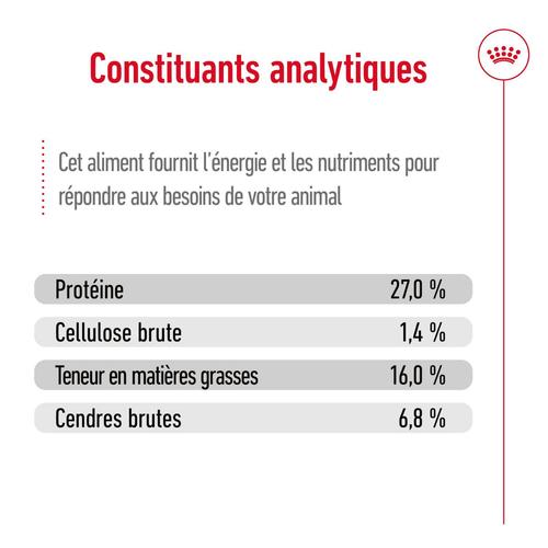 Visuel 6 du produit Croquette pour chien adulte de petite taille Royal Canin - 2 kg