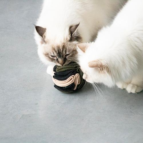 Visuel 5 du produit Jouet pour chat coloris multicolore Balle à friandises D&D Home Simon