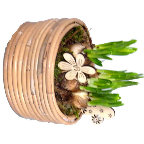 Visuel 1 du produit Narcisse tête à tête. Le panier déco ovale blanc