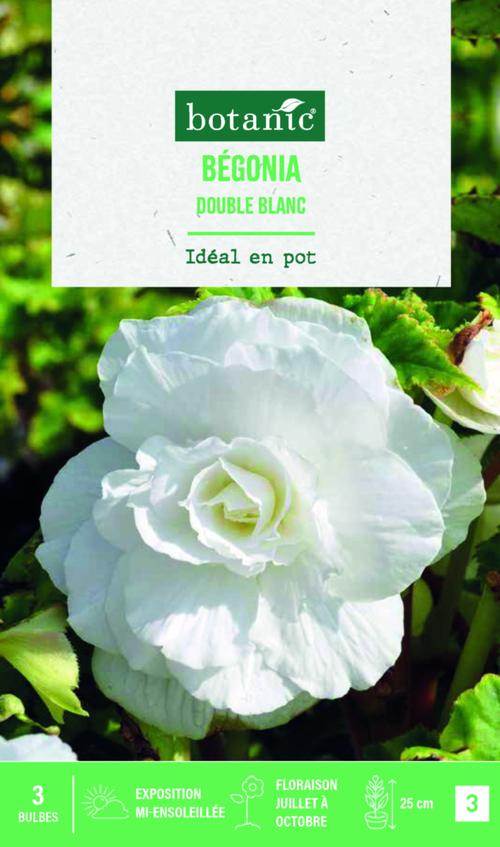 Visuel 1 du produit Bulbes de fleurs Bégonia double blanc botanic® - 3 bulbes