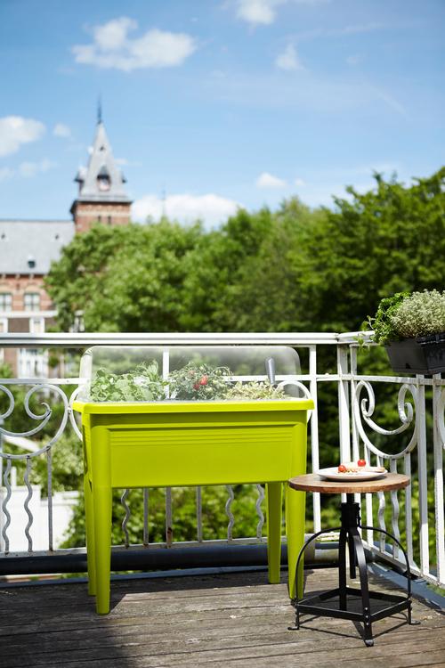 Visuel 6 du produit Table de culture 56 L coloris vert lime Elho Green Basics XXL - 75,5 x 36,5 x 65 cm