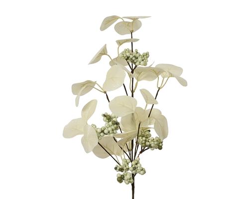 Visuel 1 du produit Tige artificielle d'eucalyptus et baies blanc laine - 10 x 5 x 55 cm