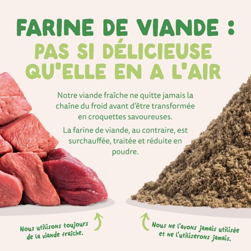 Visuel 10 du produit Croquettes pour chien adulte à l'agneau sans céréales Edgard & Cooper - 12 kg