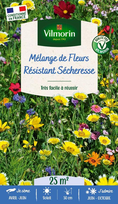 Visuel 1 du produit Mélange de fleurs 25 m² terrain sec coloris multicolore Vilmorin jardin - 10 x 2,7 x 17,2 cm