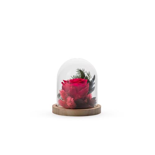 Visuel 1 du produit Verrine de végétaux stabilisés mix rouge Naturalys Cloche - Ø 12 x H 13 cm