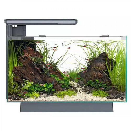 Visuel 1 du produit Aquarium 100% équipé noir SUPERFISH Quadro 40 Pro - 28L
