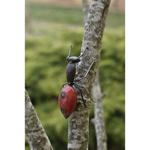 Visuel 1 du produit Fourmi rouge en métal recyclé Chouette & Co moyen modèle