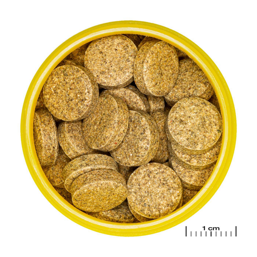 Visuel 3 du produit Aliment en comprimés pour corydoras JBL Pronovo Tab M – 100 ml