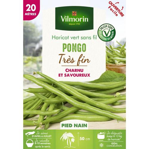 Visuel 1 du produit Graines haricot vert nain Pongo coloris vert Vilmorin jardin  - graines à semer