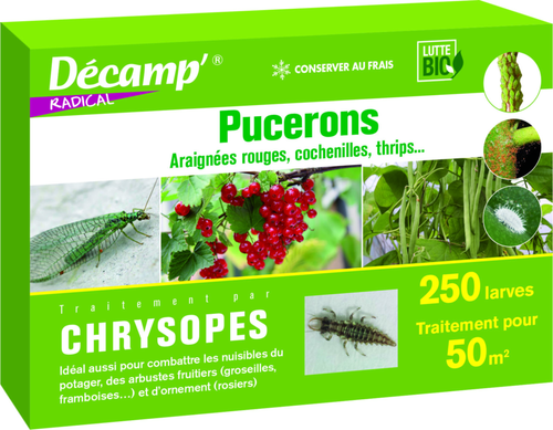 Visuel 1 du produit Chrysopes 250 larves