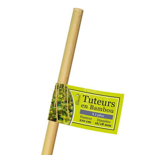 Visuel 1 du produit Tuteur coloris bois en bambou - 210 cm