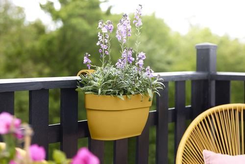 Visuel 6 du produit Pot easy hanger en plastique recyclé coloris jaune miel Elho Vibia Campana moyen modèle - 26,5 x 24,1 x 24,1 cm