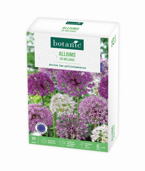 Visuel 1 du produit Allium botanic® - 25 bulbes