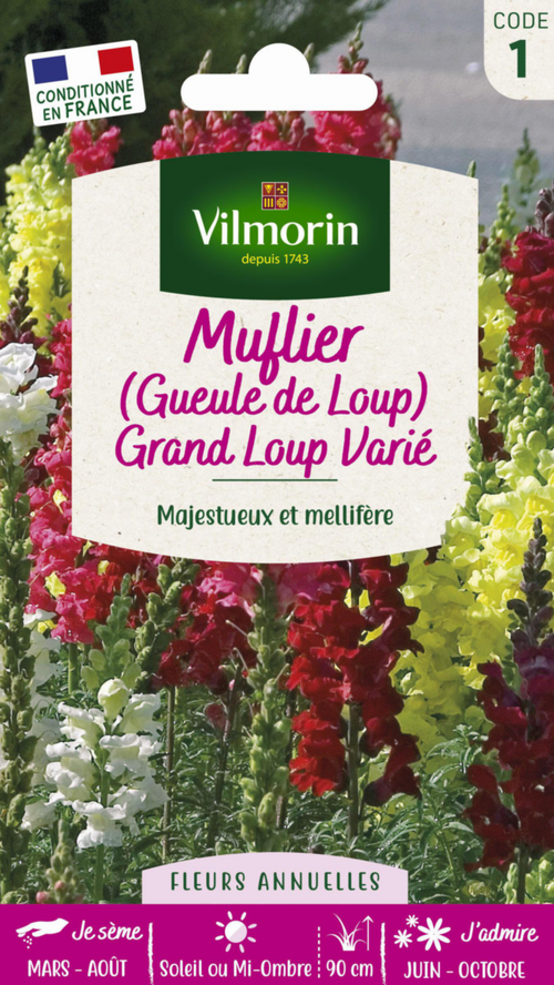 Visuel 1 du produit Graines de Muflier Grand Loup varié Vilmorin - graines à semer