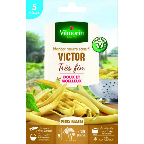 Visuel 1 du produit Graines de haricot nain Victor Vilmorin 5 mètres - graines à semer