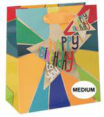 Visuel 1 du produit Sac cadeau multicolore taille medium Pictura 8