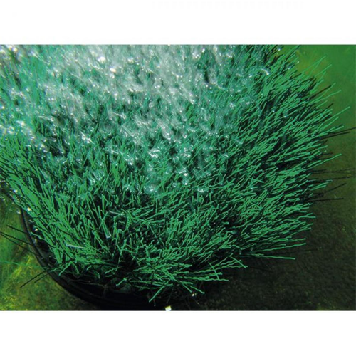 Visuel 3 du produit Kit aération bassin avec OxyTex, OASE, modèle Set 500 - 500L/H