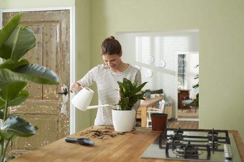 Visuel 7 du produit Self-watering insert d’arrosage automatique living noir Elho - 24 cm