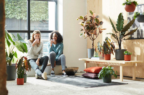 Visuel 5 du produit Cache-pot anthracite Elho b.for soft - Ø 22 cm