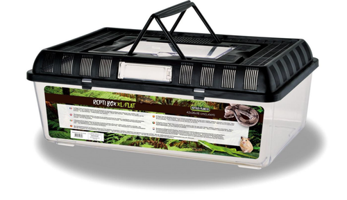 Visuel 1 du produit Terrarium en plastique coloris noir Reptile Planet Repti Box Flat - Taille XL 42 x 26 x 16 cm