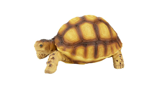 Visuel 1 du produit Décoration pour terrarium coloris marron en résine figurine tortue terrestre Terratlantis - 10 x 6,5 x 5 cm