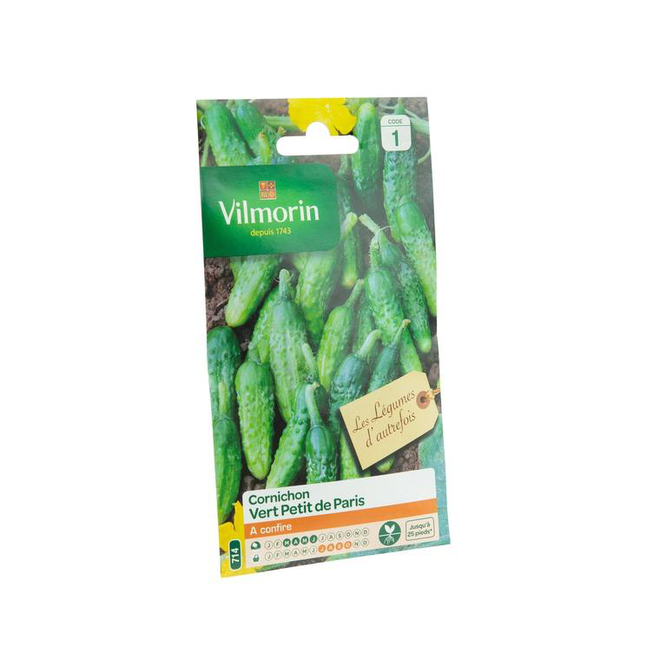 Graines De Cornichon Krak H – Environ 24 Graines, Croissance Rapide, Plein Soleil