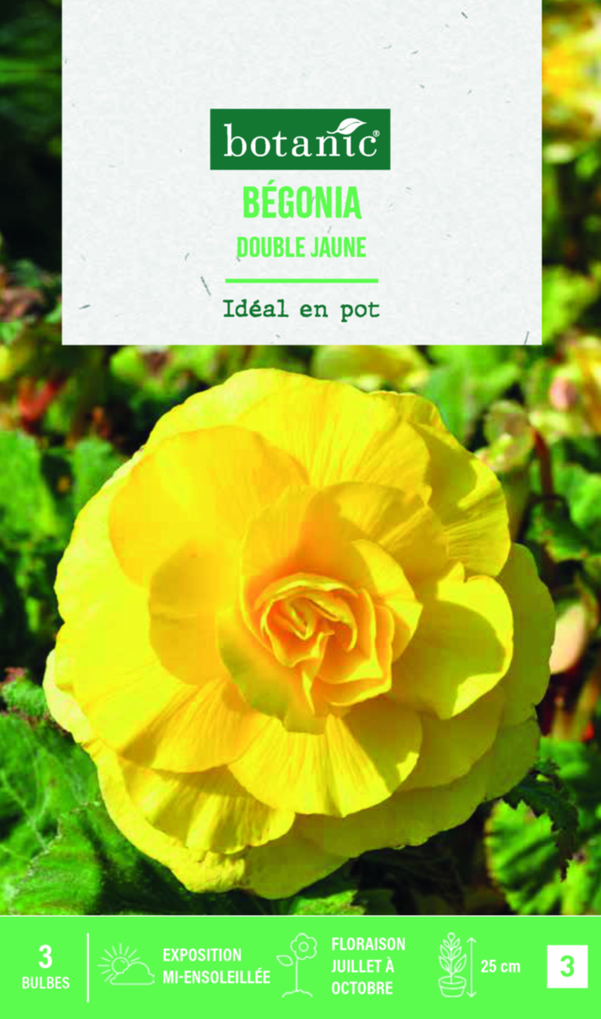 Bulbes de fleurs Bégonia double jaune botanic® 3 bulbes botanic® — free download