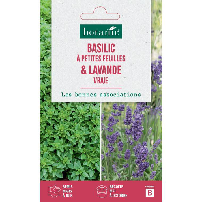 Versele Laga - Mélange de Graines à Germer pour Canaris - Détail 1 kg