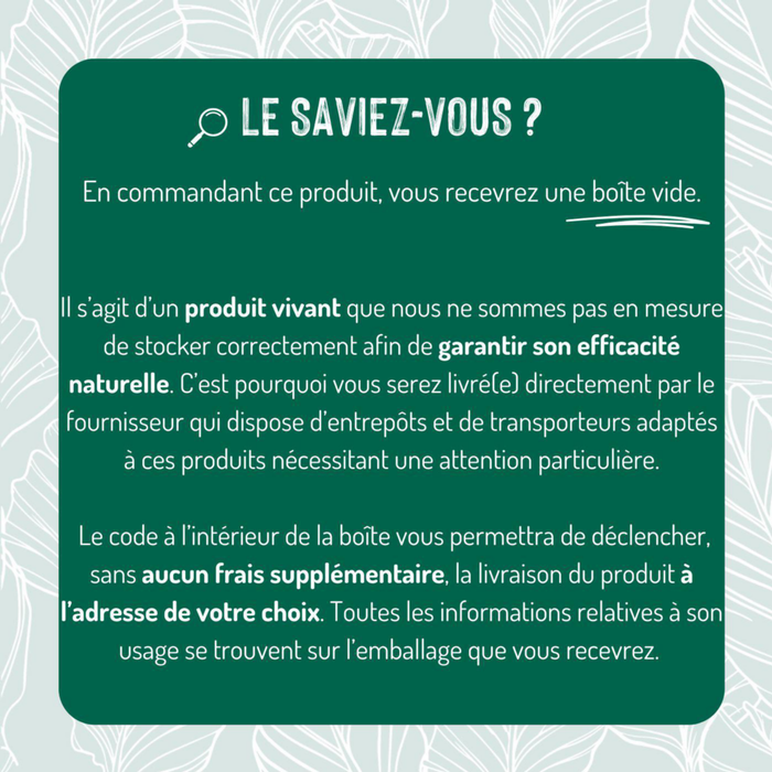 Pièges à Mites Alimentaires Et Textiles - 15 Pièces Avec Phéromones - Non Toxique - Efficacité Jusqu'à 12 Semaines
